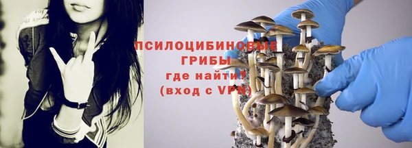 каннабис Алексеевка