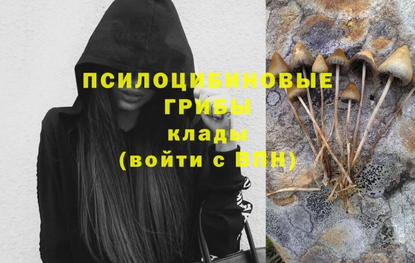 ALPHA PVP Алексин