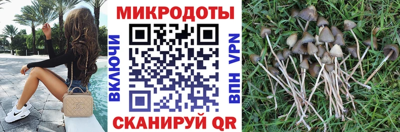 Галлюциногенные грибы мухоморы наркота Арсеньев